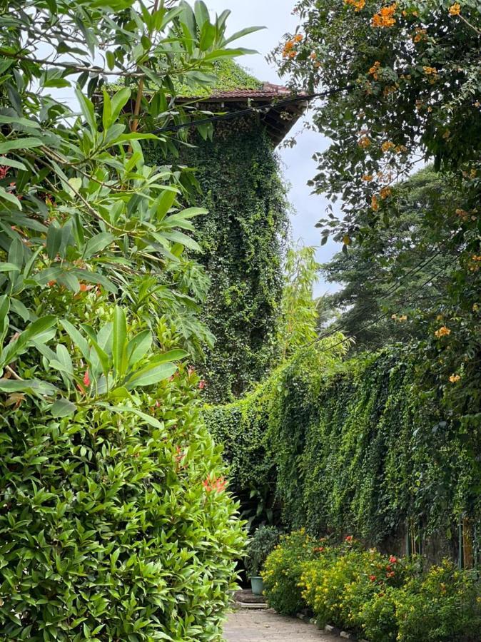 Udf Nature Villa Kandy Exterior photo